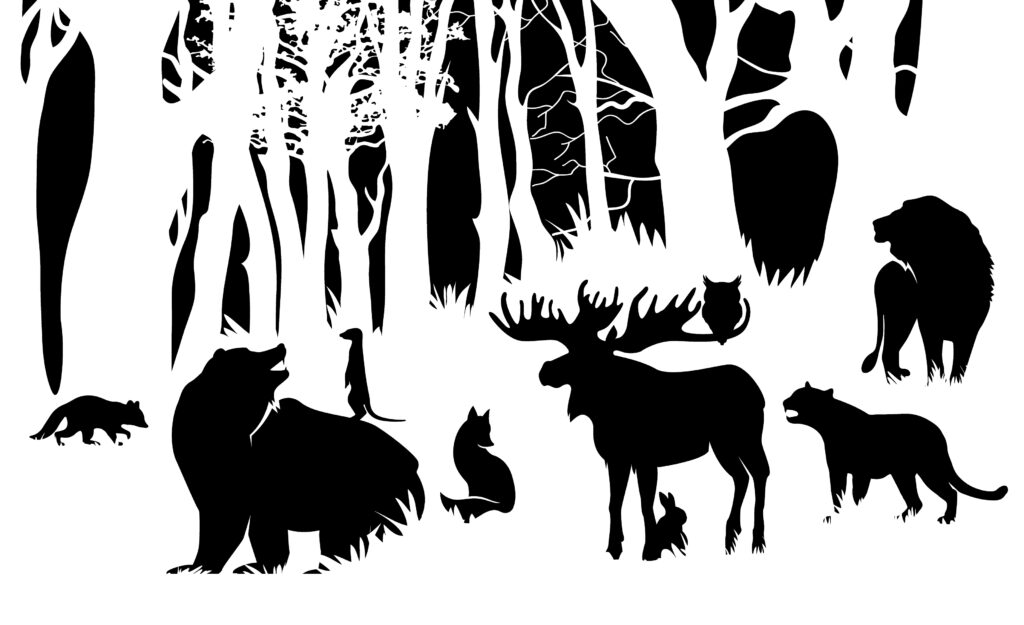 Forest illustration